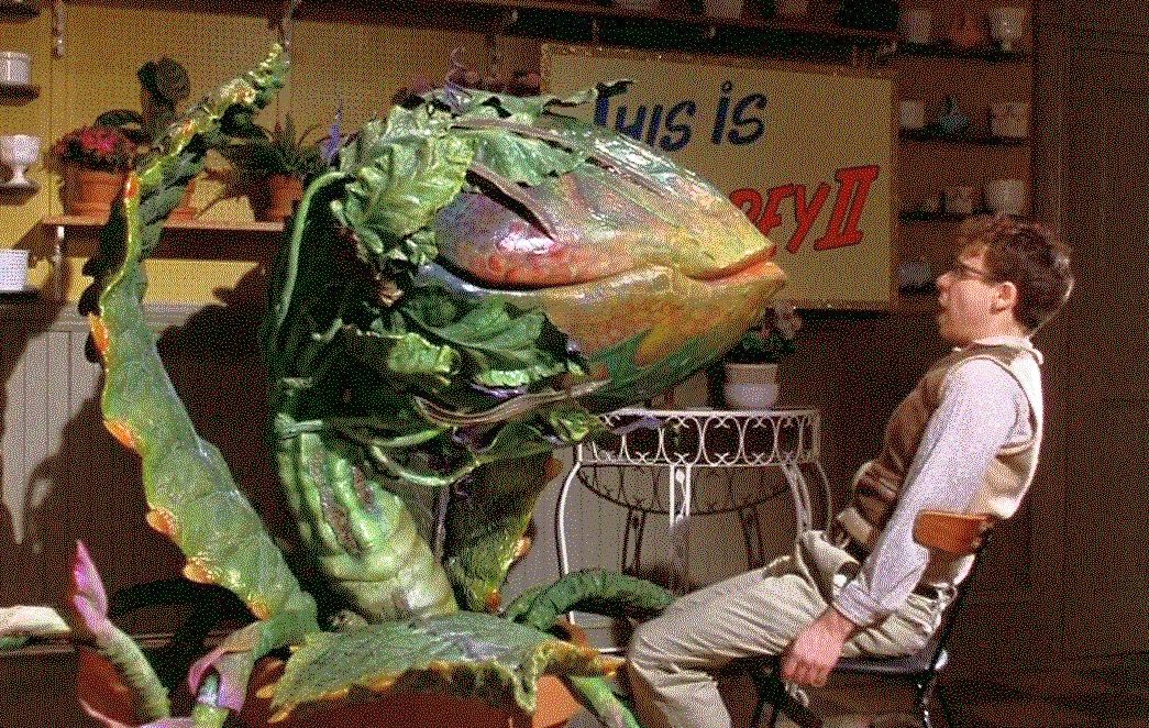 Confesiones: los 5 musicales que más me flipan